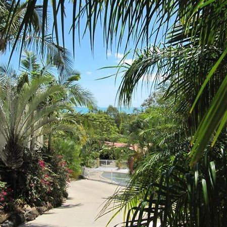 Reefside Villas - Whitsundays Airlie Beach Luaran gambar
